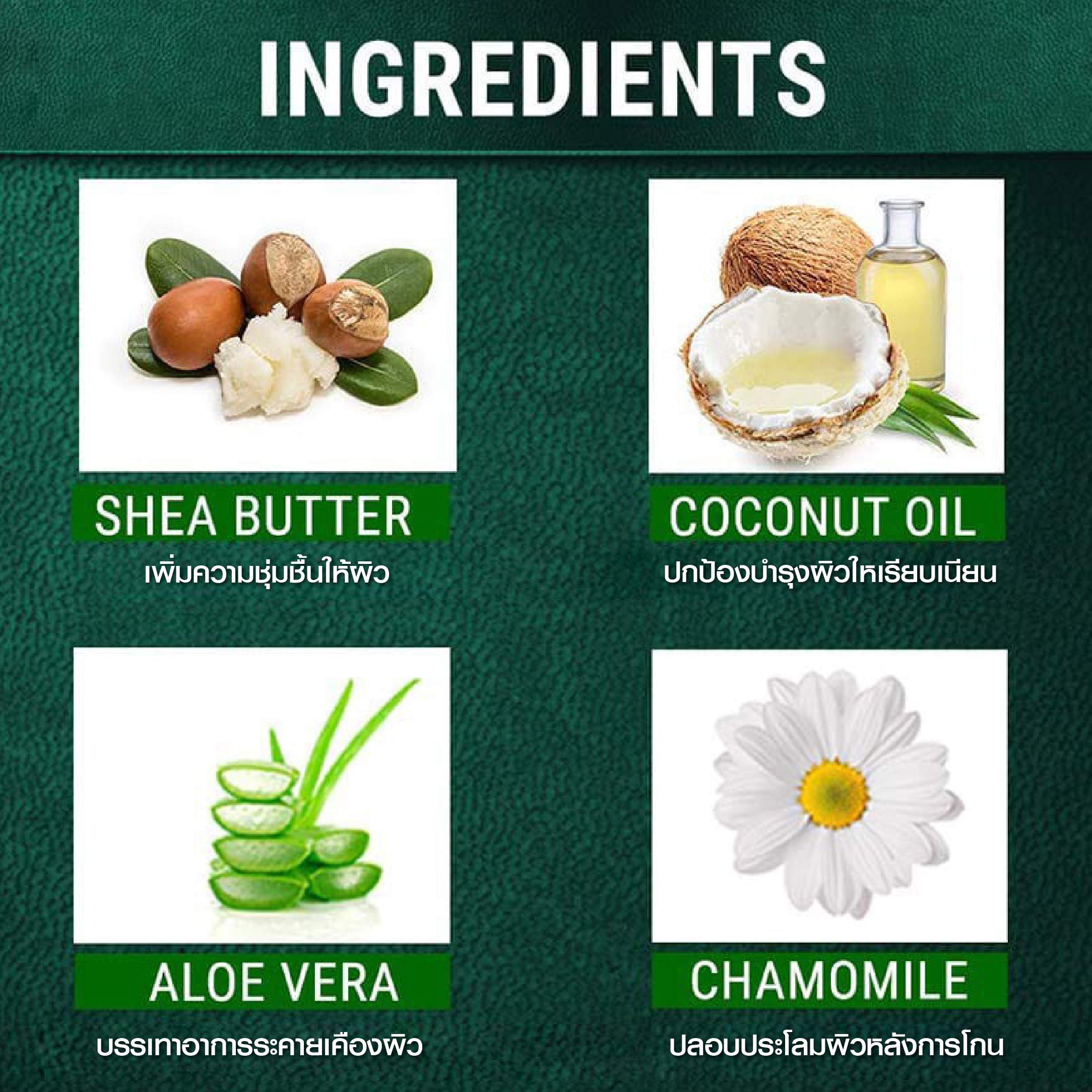 ingredients