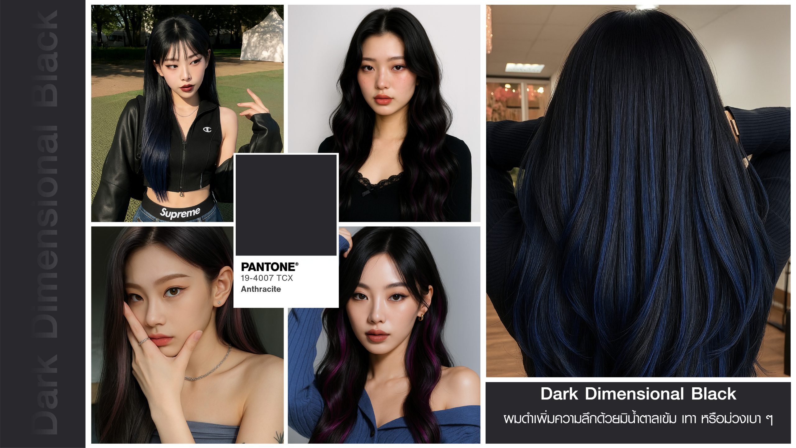 ผมสีดำมีมิติแบบ Dark Dimensional Black พร้อมเฉดสีเข้มแซมเพื่อให้ลุคดูน่าสนใจและมีสุขภาพดี