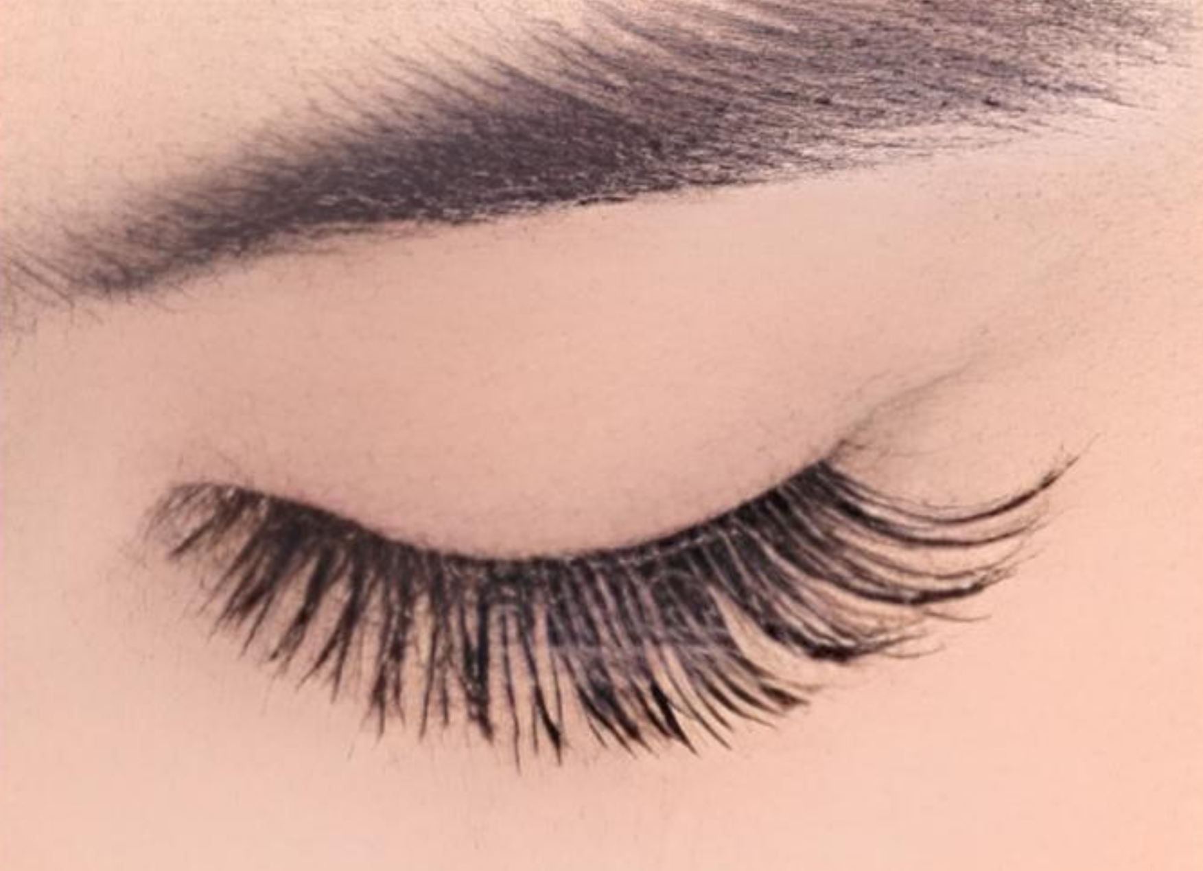 Regdoll lash style, closed eye