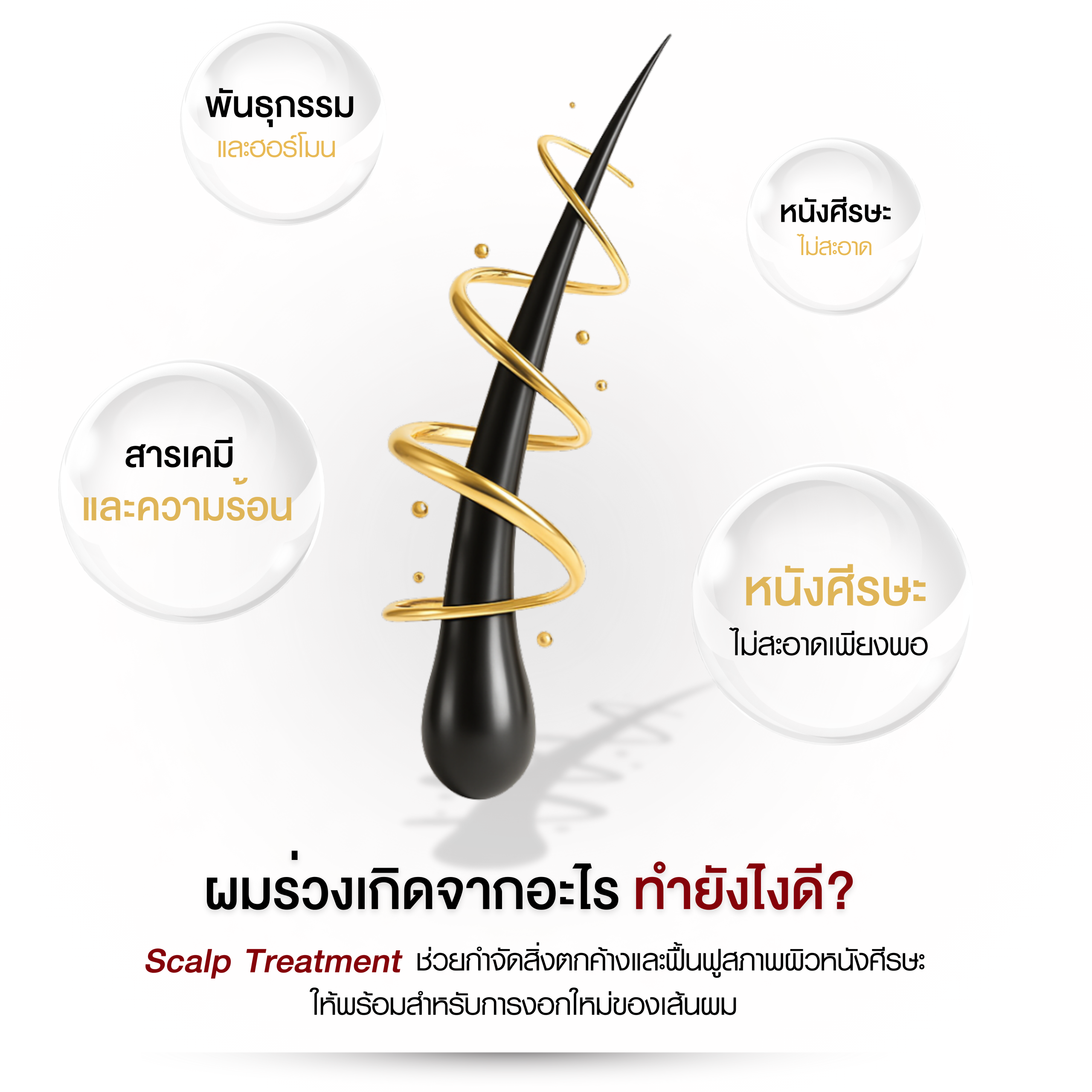อินโฟกราฟิก “ผมร่วงเกิดจากอะไร แก้ยังไงดี?” แสดงเส้นผมสีดำพันด้วยเกลียวทอง พร้อมปัจจัยเสี่ยง: พันธุกรรม/พฤติกรรม, สารเคมีและความร้อน, หนังศีรษะไม่แข็งแรง และแนวทางดูแลด้วย Scalp Treatment/ดีท็อกซ์หนังศีรษะ
