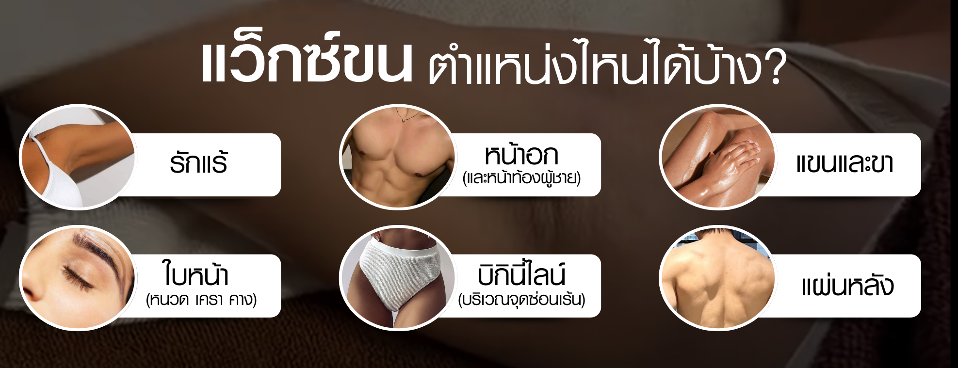 บริการแว็กซ์ขน-ตำแหน่งต่างๆ-takecare