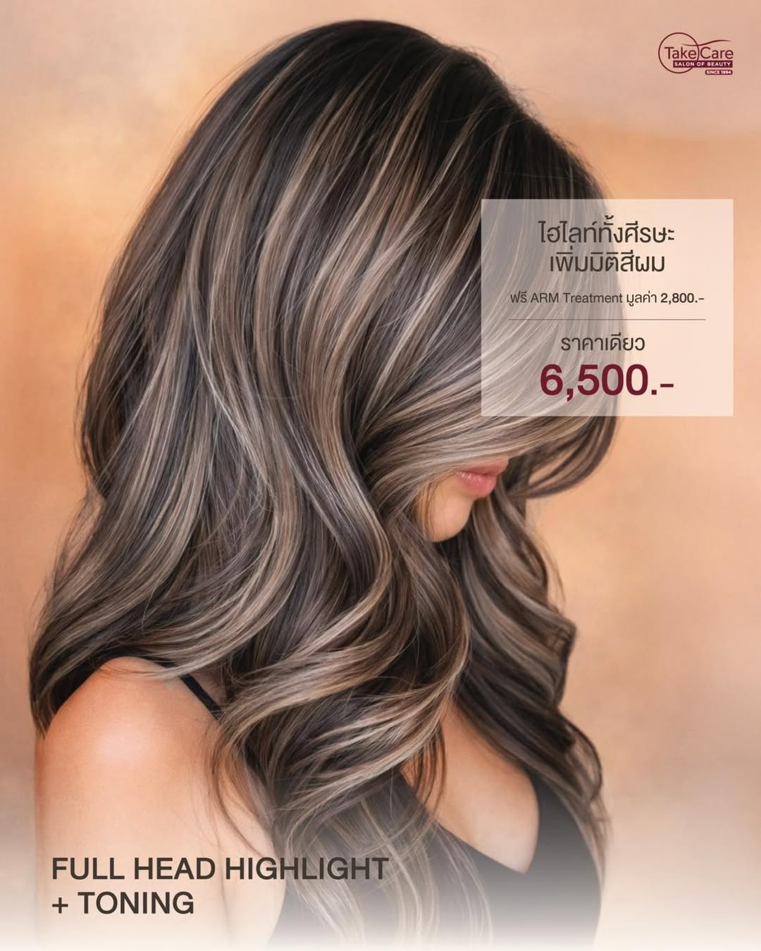 HIGHLIGHT + TONING 6,500.-