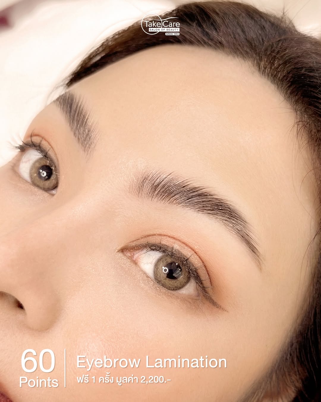 60 POINTS - Eyebrow Lamination